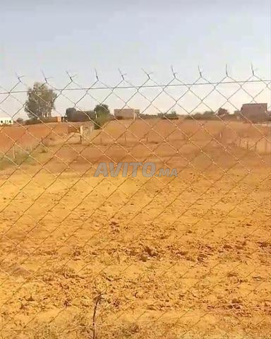 2000 متر سيدي عبد الرزاق أرض مسيجة - 2