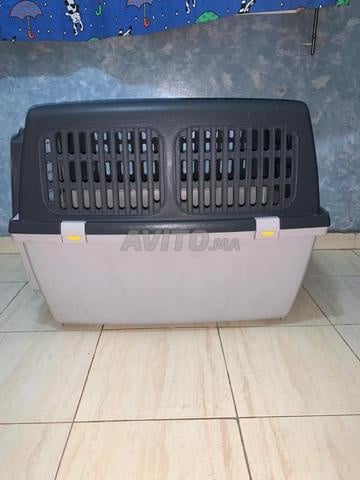 Cage de transport - 2