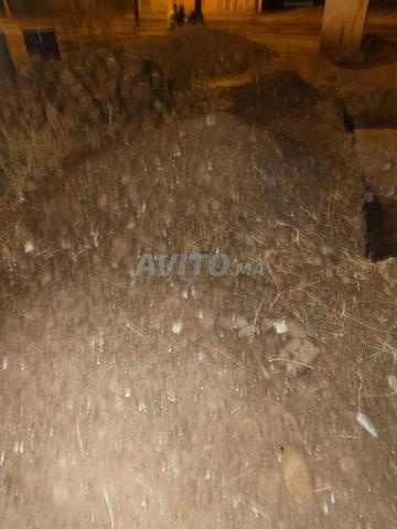 تجزئة بدر العطاوية - 2
