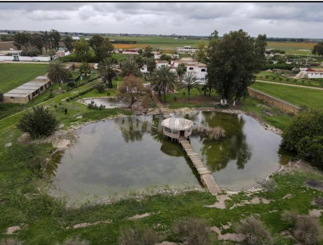 Villa exceptionnelle à Louer - 2