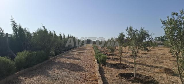 مزرعة رائعة للبيع - 2