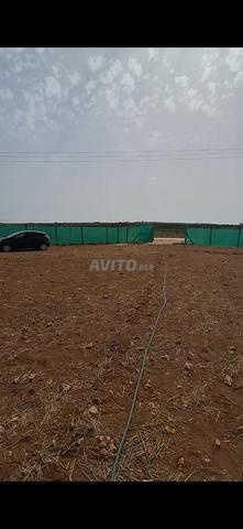 Terrain 2500 m² à vendre Tnine Chtouka - 2