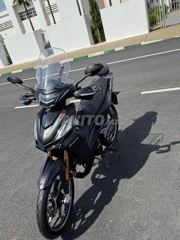 دراجة سبرينغ 2025 - 2