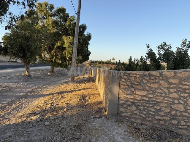 Terrain de 5 hectares Had Dra - 2