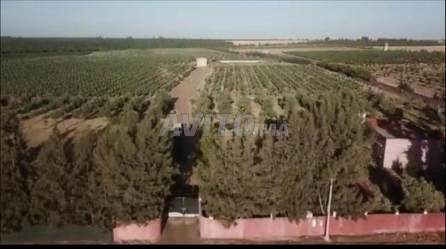 DOMAINE AGRICOLE ÉQUIPÉ 14HA DE VIGNOBLE Al-Braxha - 2