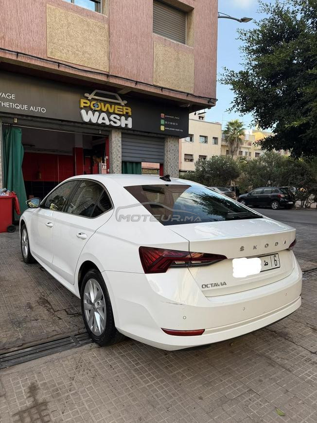 Skoda oktavia