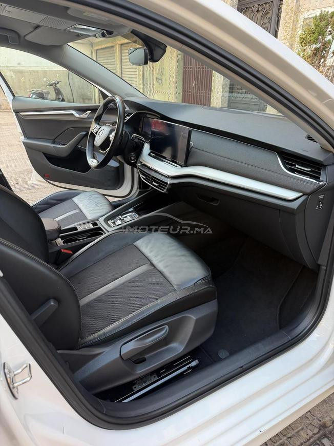 Skoda oktavia