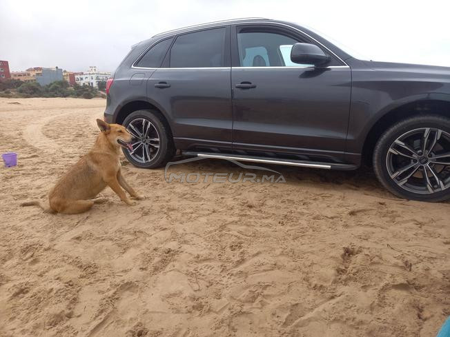 Audi Q5 diesel 2.0 TDI Quattro 2012 diwana 2022