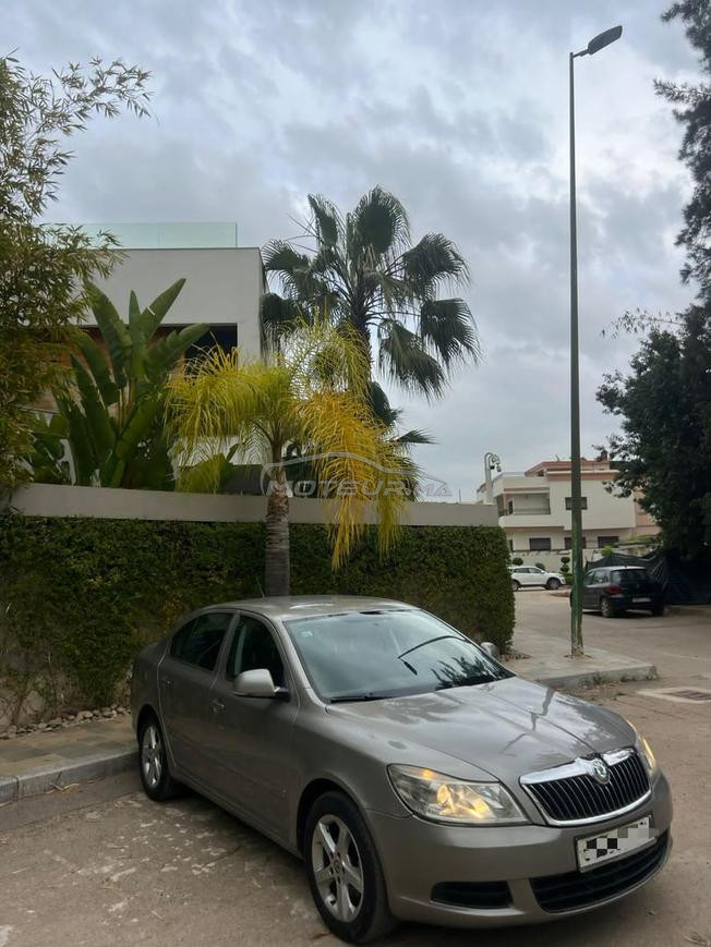 Meknès merjan 1
