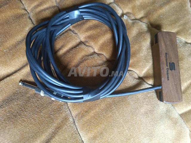 ميكروفون جيتار صوتي سيمور دانكن SA-3HC - 2