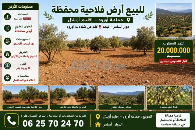 Terrain agricole titré de 6000 m² à Ouzoud Azilal