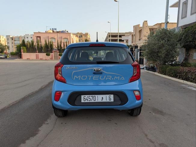 picanto 2019