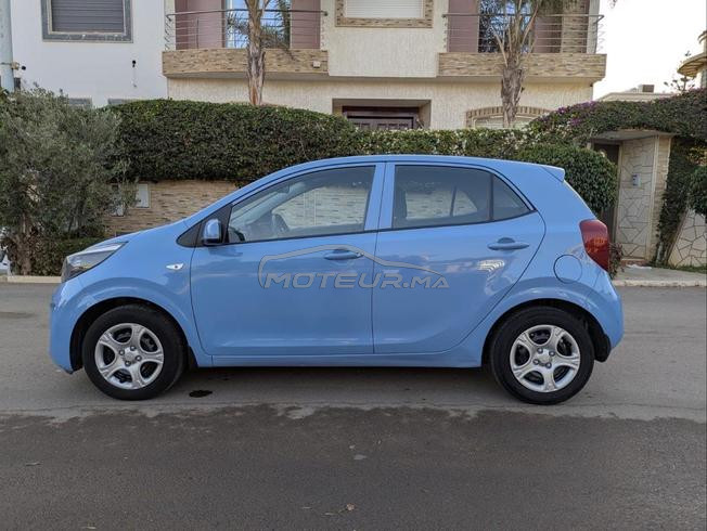 picanto 2019