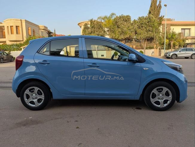 picanto 2019