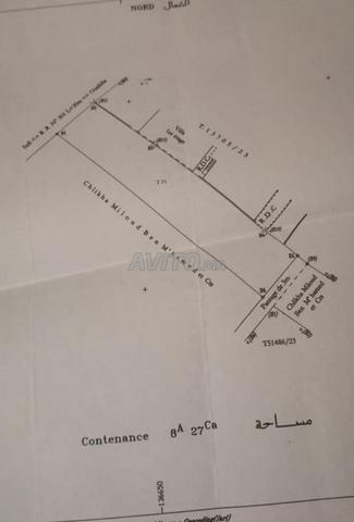 أرض كاب بيدوزا مطلة على البحر - 2
