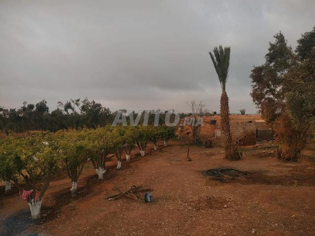 مزرعة محفظة - 2