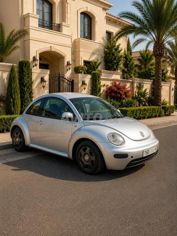 Coccinelle