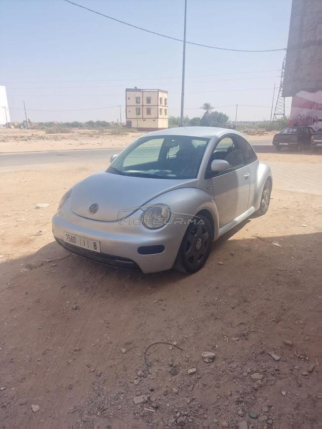 coccinelle 