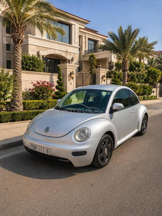 coccinelle 