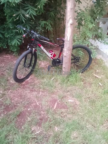 ثندربيرد - 2