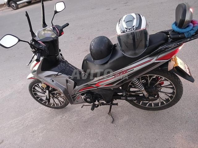 CAMEL 49cc 2021 - 2