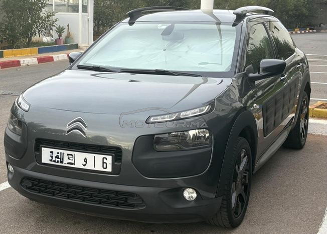 C4 CACTUS TOIT Panoramique 