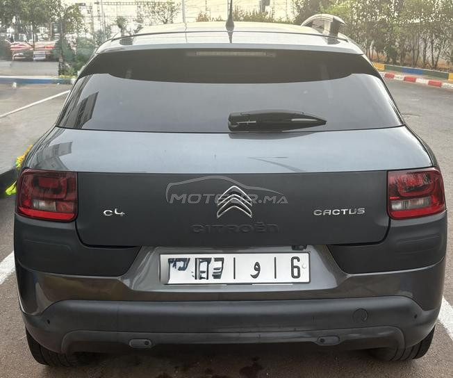 C4 CACTUS TOIT Panoramique 