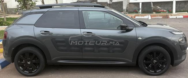 C4 CACTUS TOIT Panoramique 