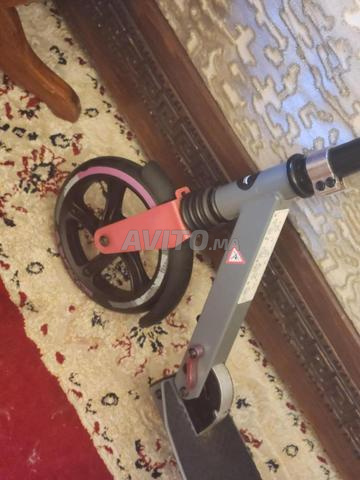 Trottinette Adulte (Delta sport) - 2