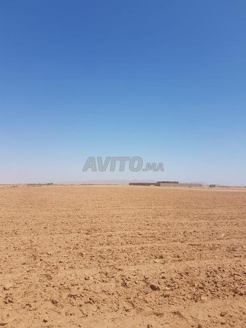 Terrain enregistré à vendre d'environ 12 hectares - 2