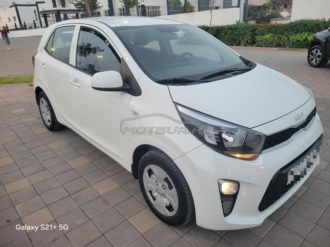kia Picanto 