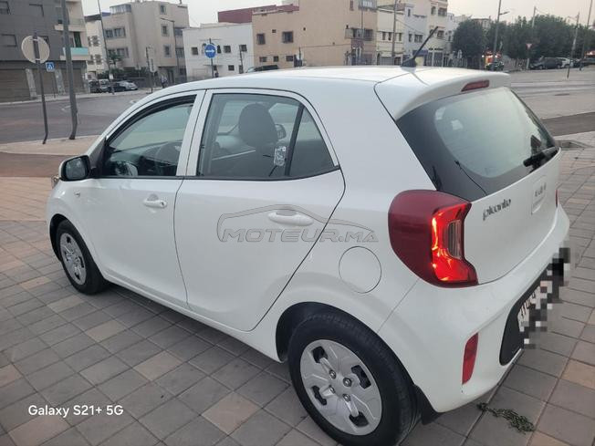 kia Picanto 