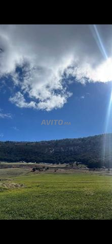 Terrain Titré 3,7 Ha – RN13 Azrou - 2