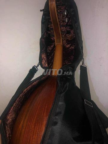 عود كبير مع صاك مقطن ديالو وريشة - 2