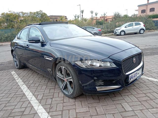 KIFAL - JAGUAR XF - 2