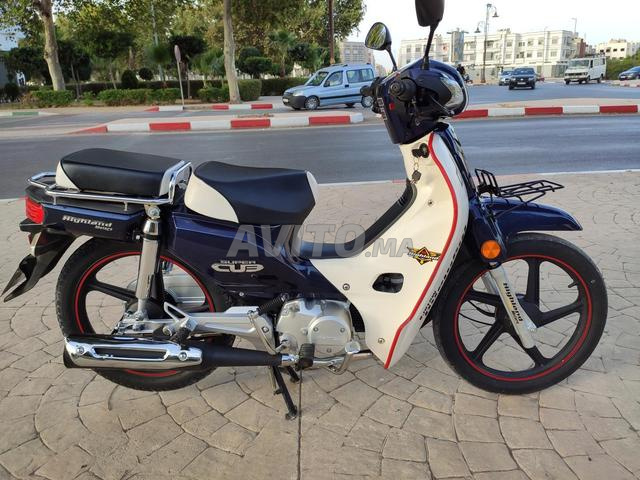 هاجلوند .2024.7 - 2