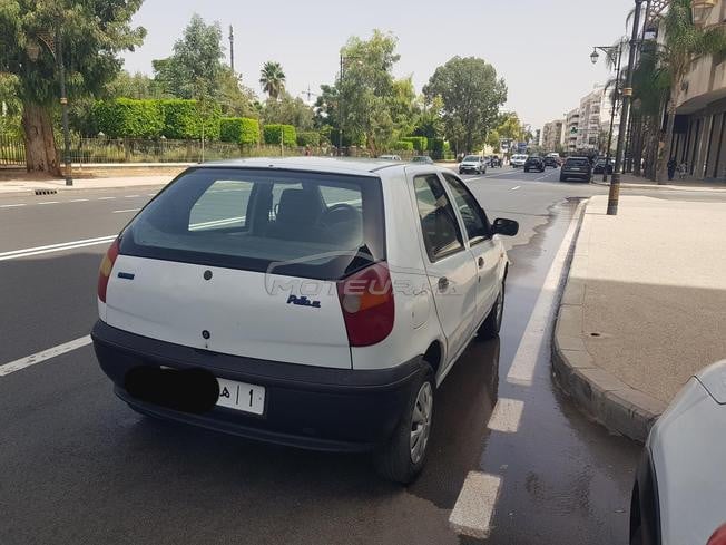 Fiat Palio Essence Manuelle 2003 à Fès