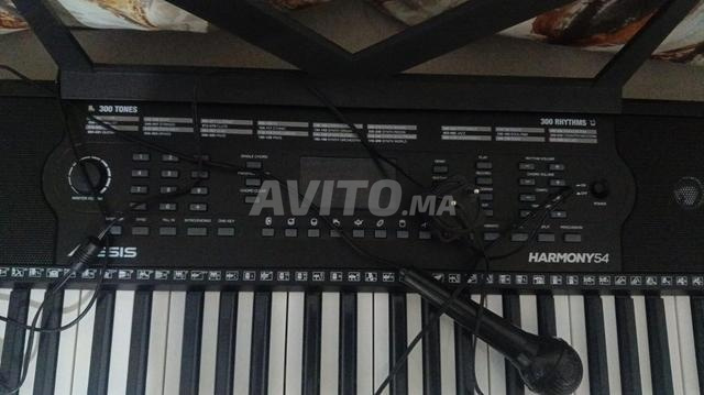 Piano électronique HARMONY54 54 touches Micro - 2