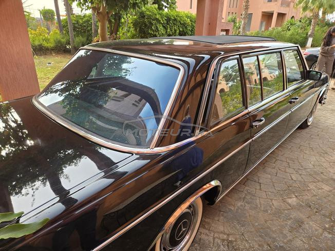 Mercedes Royale 240D 1974 dw 2023  Collection 