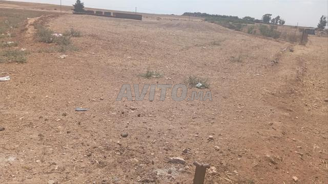 Terrain agricole à vendre dans un emplacement privilégié - 2
