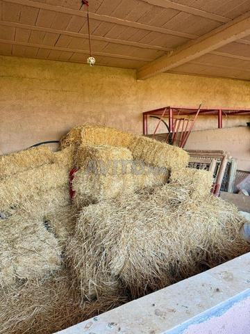 JOLIE FERME D’HÔTES EN ACTIVITÉ A 24 KM DU CENTRE - 2