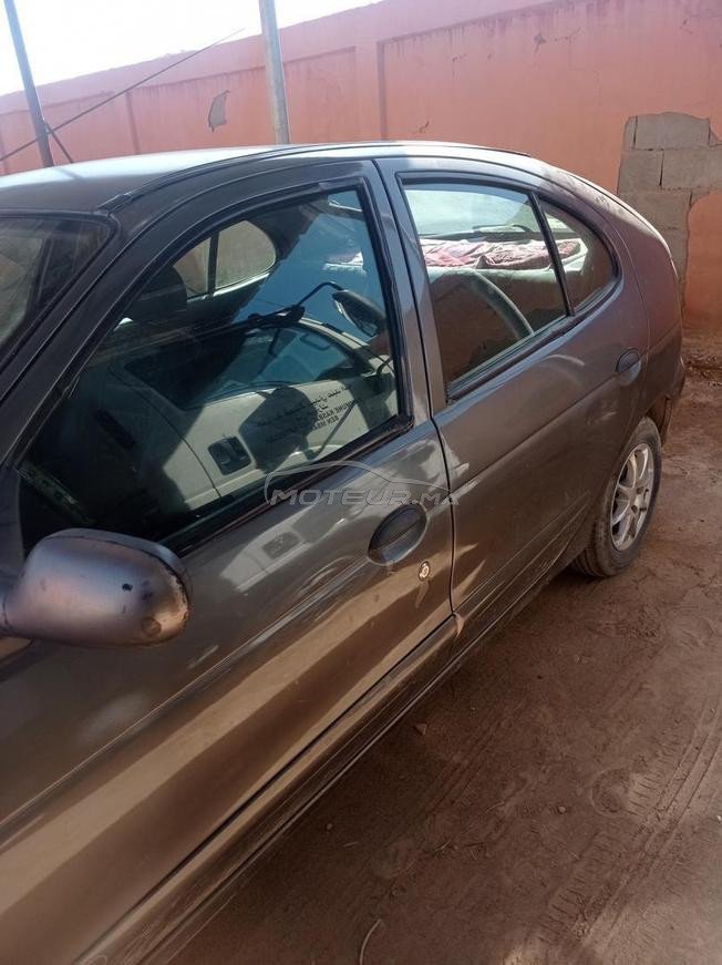 طاطا النركز