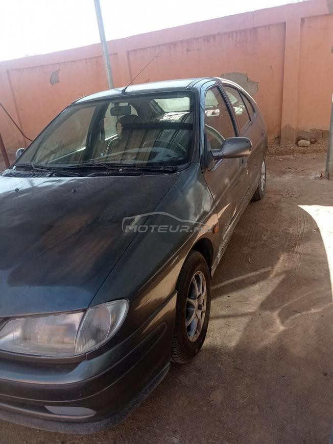طاطا النركز