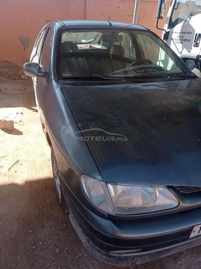 طاطا النركز