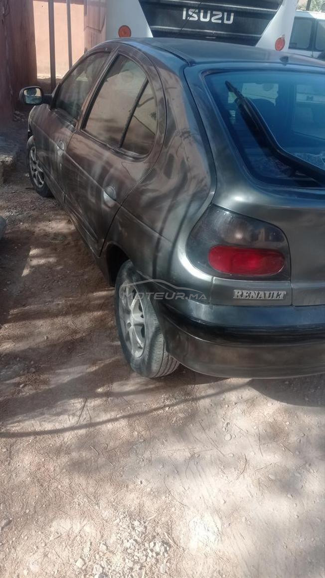 طاطا النركز