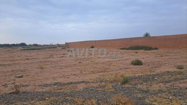 Terrain Agricole de 7 Hectares – Route d’Agafay