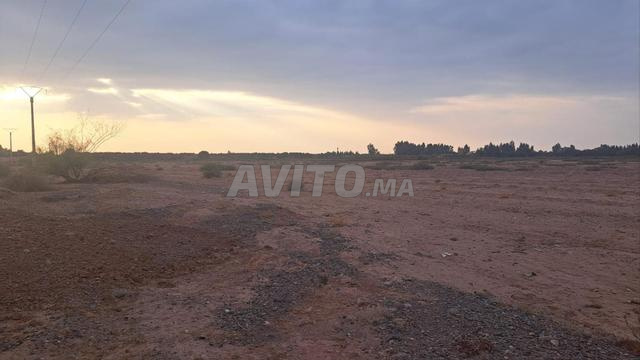 Terrain Agricole de 7 Hectares – Route d’Agafay - 2