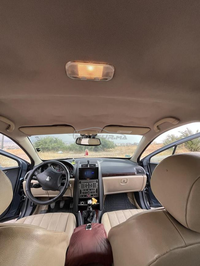 Peugeot 407
