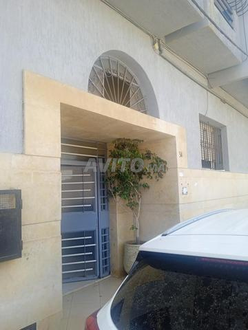 سلا البيبينير (المنبت) - 2