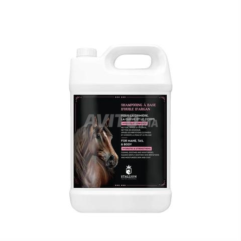 Shampoing Cheval Hydratant Huile d'Argan Stallion